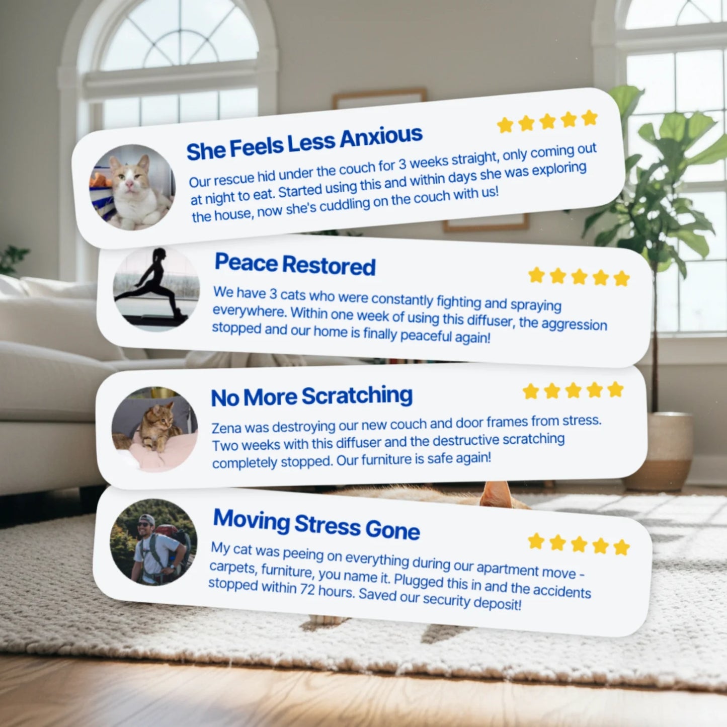 From Stress To Serenity: Give Your Cat The Peace Of Mind They Deserve!