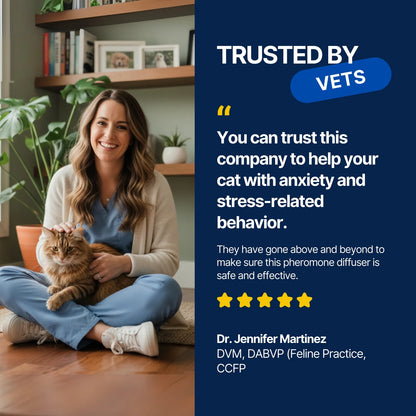 From Stress To Serenity: Give Your Cat The Peace Of Mind They Deserve!