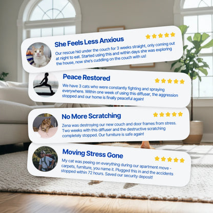 From Stress To Serenity: Give Your Cat The Peace Of Mind They Deserve!